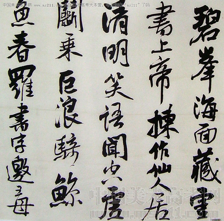 2009年中央美术学院美术高考优秀试卷(书法)2