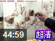 水粉静物(完整版共5集)20130250101北京壹加壹画室美术高考视频