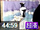 水粉静物(完整版,共2集)北京画室美术视频201310190101