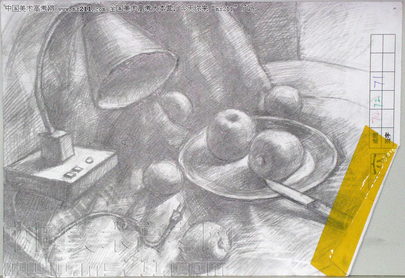 2007103101