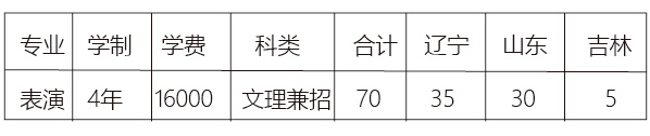 沈阳工学院2015年艺术类专业招生计划