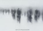 来自画家Gale Antokal