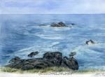 那年夏天，宁静的海。你的记忆闪闪发亮。丨画家Anne-Marie Pat
