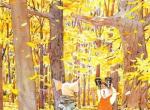 小猪们的快乐生活。丨画家Holly Hobbie。