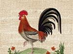 粗麻布纹路上的复古插画。丨美国艺术家Graphicals。