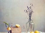 梦里的花开不败。丨画家Colleen Farrell。