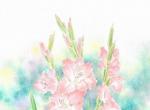 来自画家むらかみゆみこ。