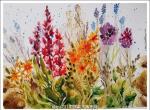 如此的绚烂，如此的惊艳。丨画家Mirta Groffman