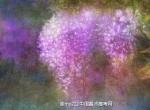 画家エンゼルパンダ。