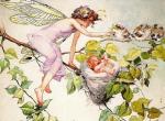 画家Fanny Y. Cory。