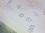 还予你，我的淡然岁月。丨日本插画师高木かおり。