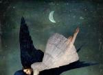 梦在画深处。丨画家Christian Schloe