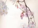 画家Mica Kinoshita。