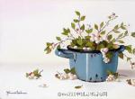 荷兰插画师Johannes Eerdmans