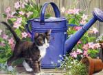 温柔猫与植物的美丽邂逅。丨画家SUSAN BOURDET