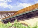 水彩画家金井千絵