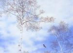 生活不光只有苟且，还有诗和远方。丨画家野地美树子。