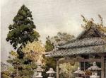 1908年的日本园林与寺庙。 作者：Ella Du Cane