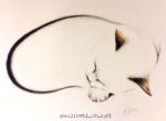 阳光午后，做一只慵懒的猫。丨画家Kellas Campbell。