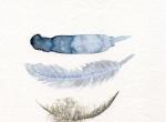 丹麦水彩画家Annemette Klit。