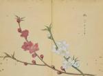 1850年绘制的《诗经名物图解》。丨画家細井洵