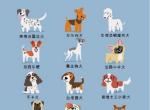 插画师Lili Chin。