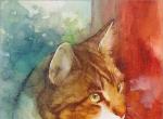 猫咪的画  |  德国艺术家 Aurora Wienhold