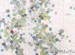 全国美展水彩金奖——许海刚