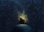 超写实油画系列“树林里”,艺术家：Sean William Randall