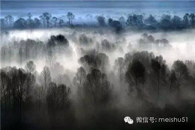 水墨