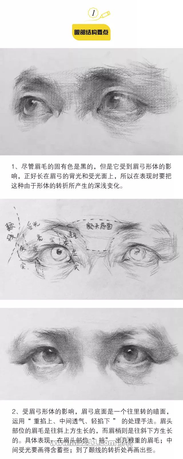 素描头像：五官的结构画法_01.jpg