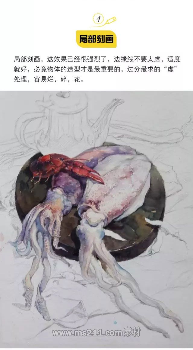 色彩静物：水彩静物作画步骤全解析大鱿鱼_05.jpg