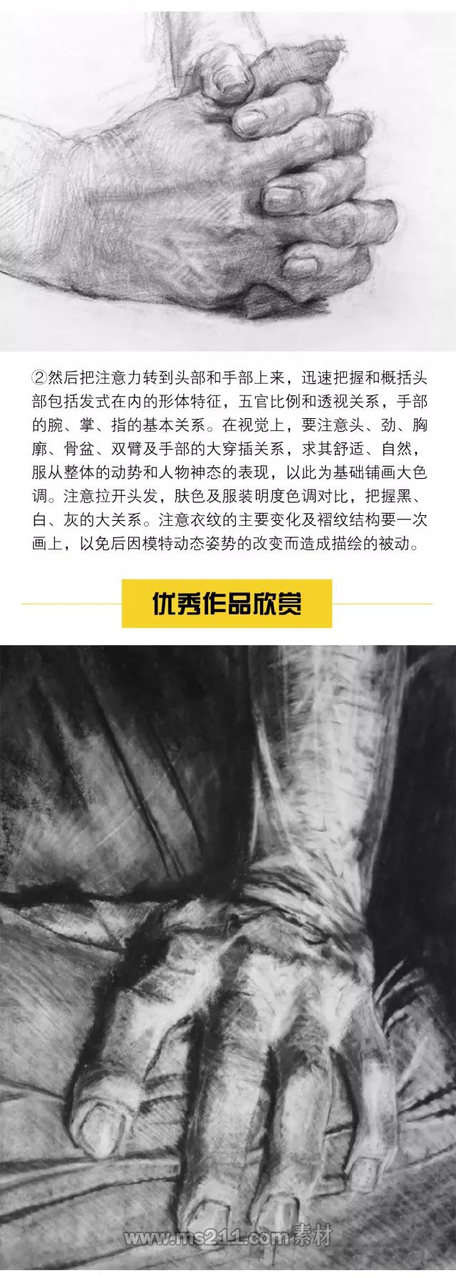 素描半身像带手：黑白灰关系的掌握_03.jpg